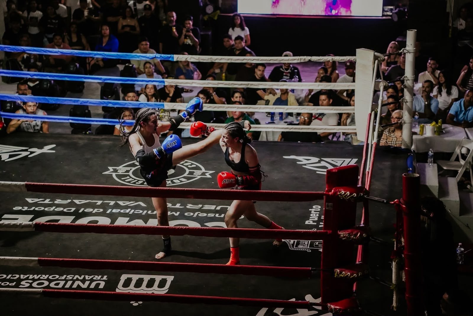 Combate femenil de Muay Thai en el ring